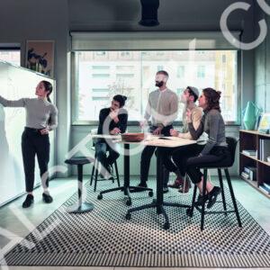 Corporate Fellows