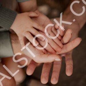 Our Bond