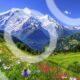 The Long Climb