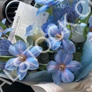 Blue Paradise