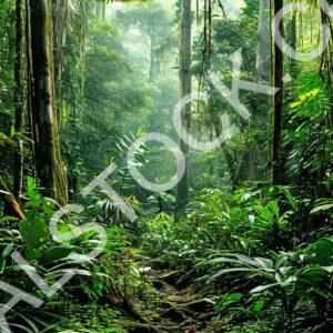 Breath Of Earth