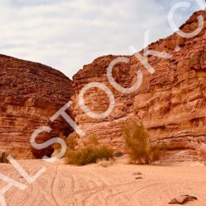 Canyon Curves