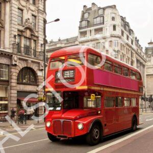 Double Decker
