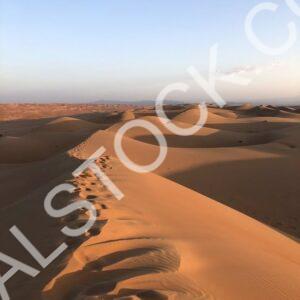 Dunescape