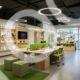 Eco Chic Office