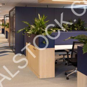 Green Office