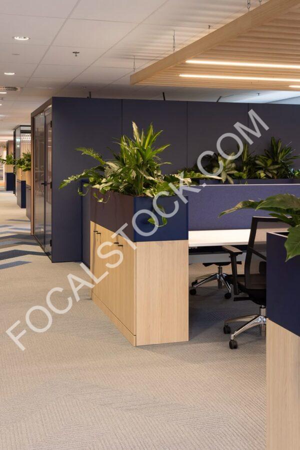 Green Office
