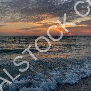 Ocean Bliss