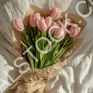 Petal Story